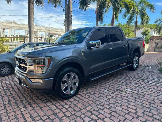 FORD F-150 5.0 V8 GASOLINA CD PLATINUM FX4 AUTOMÁTICO